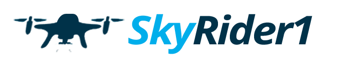 logo2s